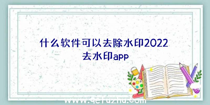 什么软件可以去除水印2022